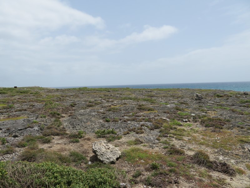 Land For Sale in Coles Barbados